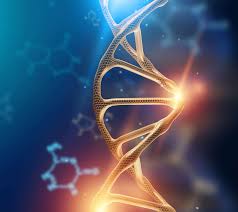 Décodage biologique.jpg